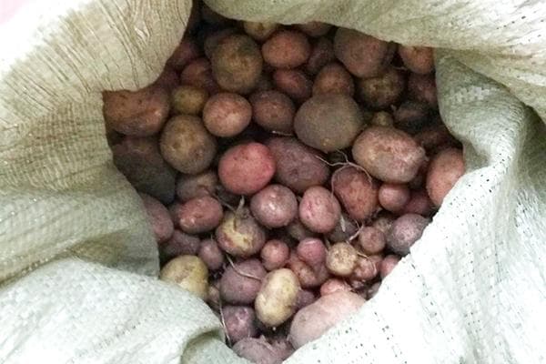patatas en una bolsa