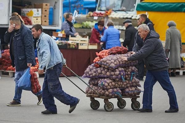 Hombres cargando patatas en bolsas.