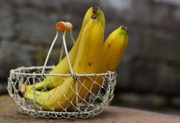 Plátanos en una red