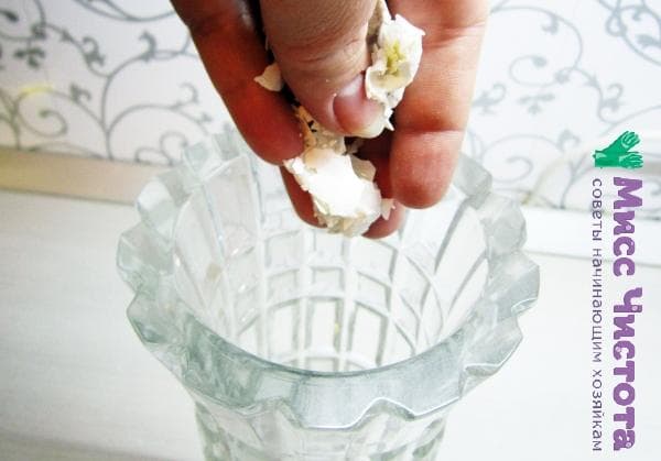 poner cáscaras de huevo en un jarrón para limpiarlas
