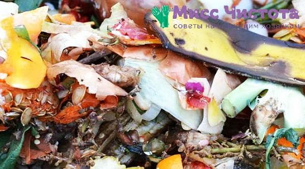 basura ng compost