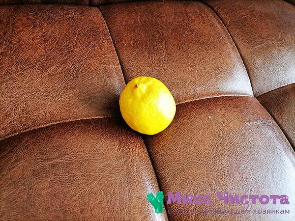 limón en el sofá