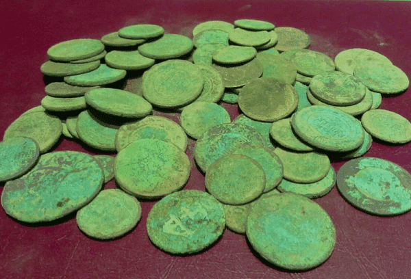 Roheline kate müntidel