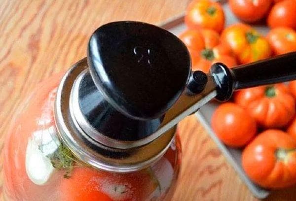 Costura de tomate 