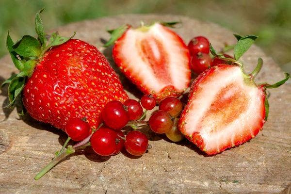 Mermelada de fresa sin cocinar