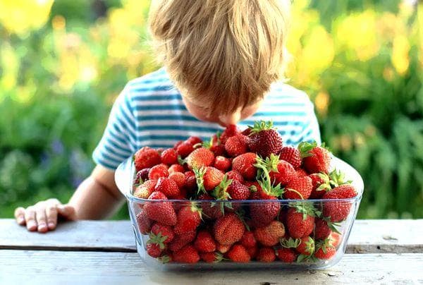 Niño y jarrón con fresas.