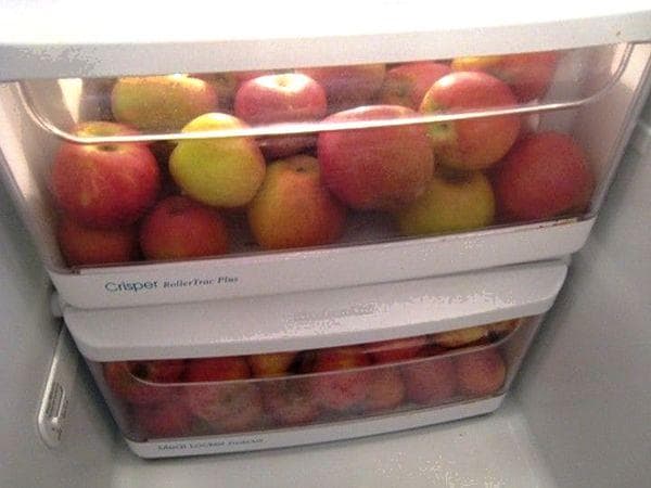 Õunte säilitamine külmkapis