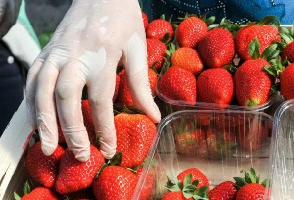 Buying strawberries