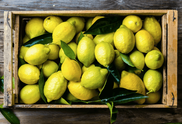 Tervete sidrunite säilitamine kodus