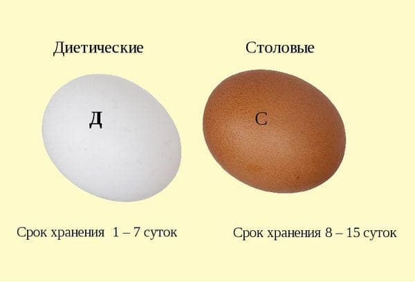 Clasificación de huevos
