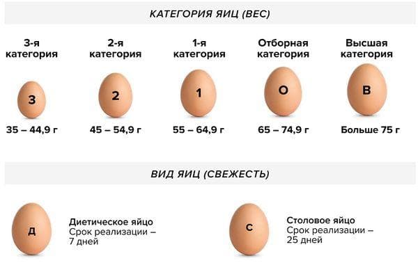 Huevos de mesa, diferencias.
