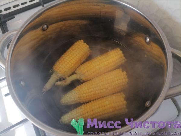 Cocinar maíz foto 13