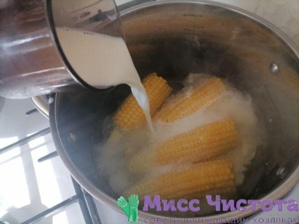 Cocinar maíz foto 14