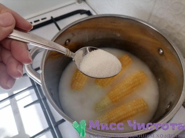 Cocinar maíz foto 15
