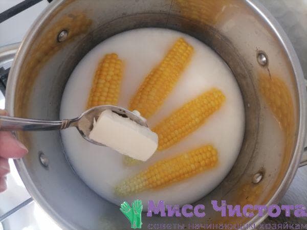 Cocinar maíz foto 16