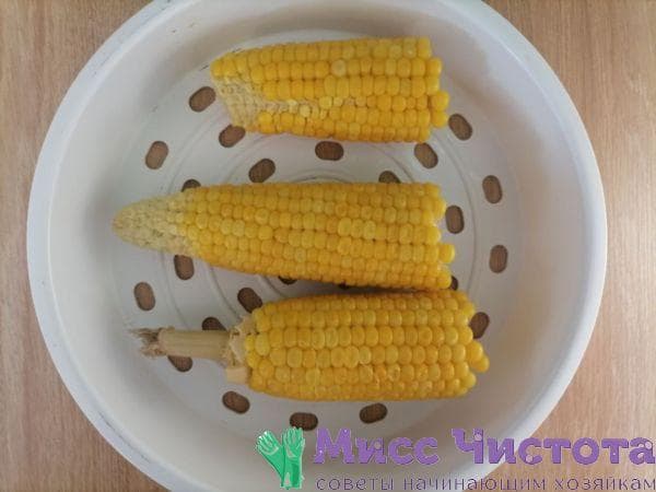 Cocinar maíz foto 23