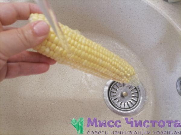 Cocinar maíz foto 5
