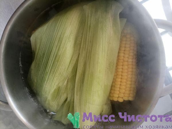 Cocinar maíz foto 9