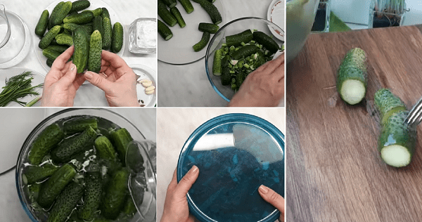 Preparing pickled cucumbers