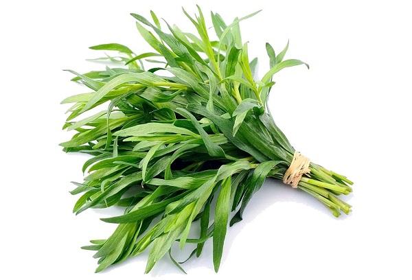 Tarragon segar