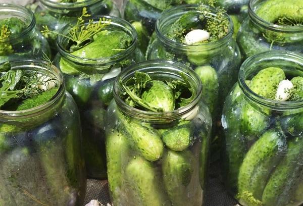 Pickling cucumbers