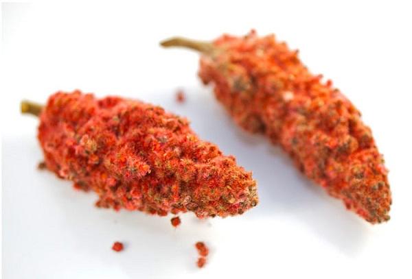 Sumac staghorn krydder