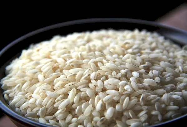 Arroz de grano medio