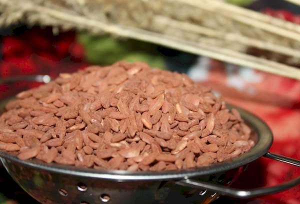 Devzira red rice