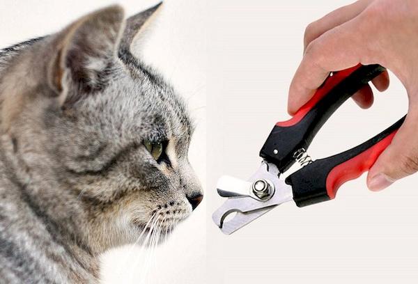 herramienta para cortar uñas