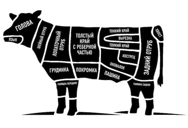 Parti del diagramma della carcassa di una mucca