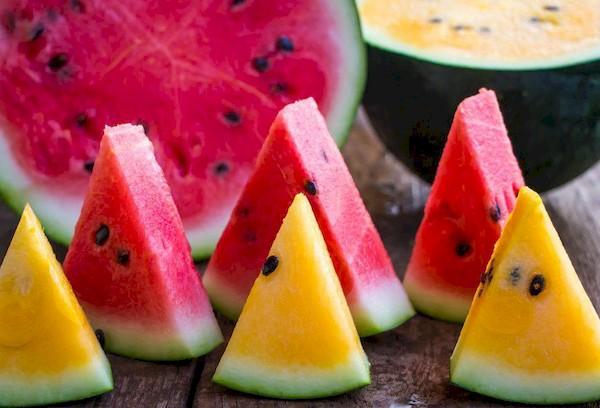 Multicolored watermelon