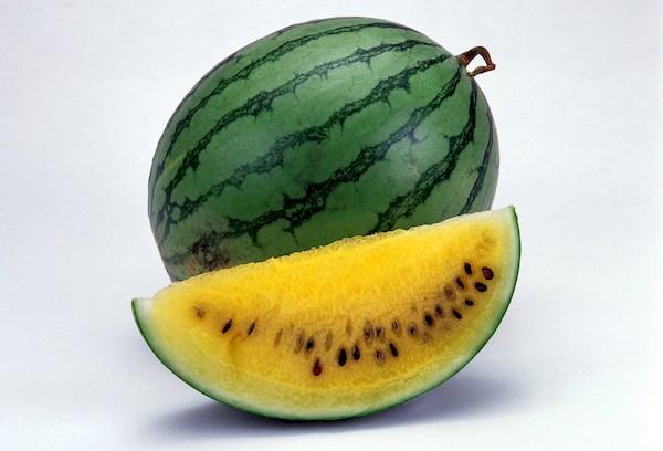 Yellow watermelon