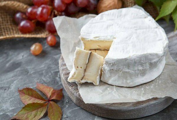 queso Camembert