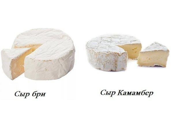 Queso brie y camembert