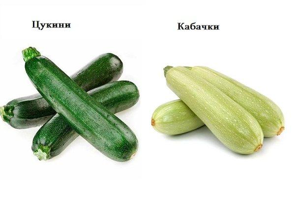 Zucchini och zucchini