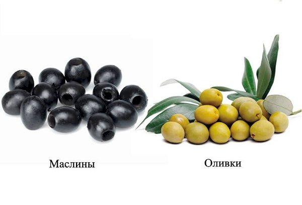 Erinevus oliivide ja mustade oliivide vahel