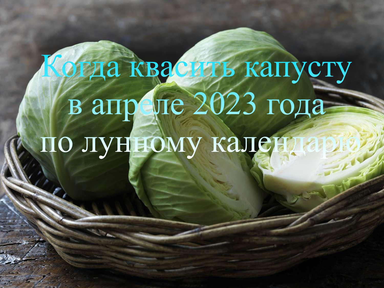 Cuándo fermentar el repollo en abril de 2023 según el calendario lunar.