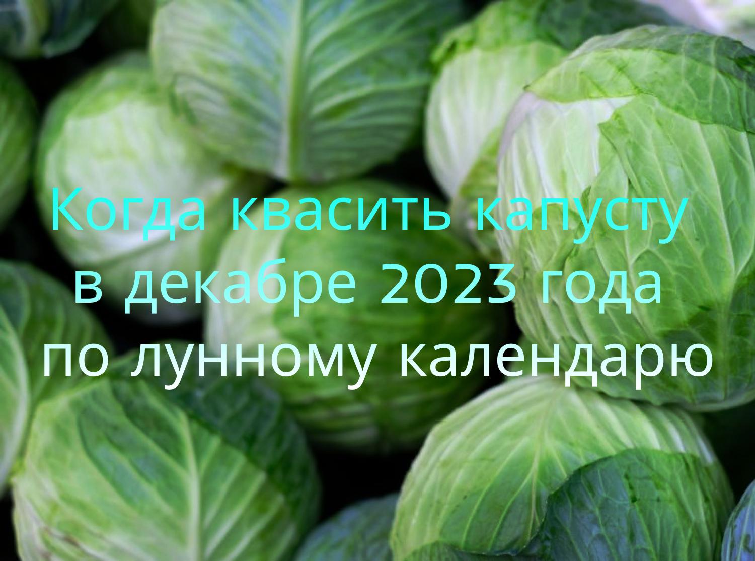 When to ferment cabbage in December 2023 according to the lunar calendar