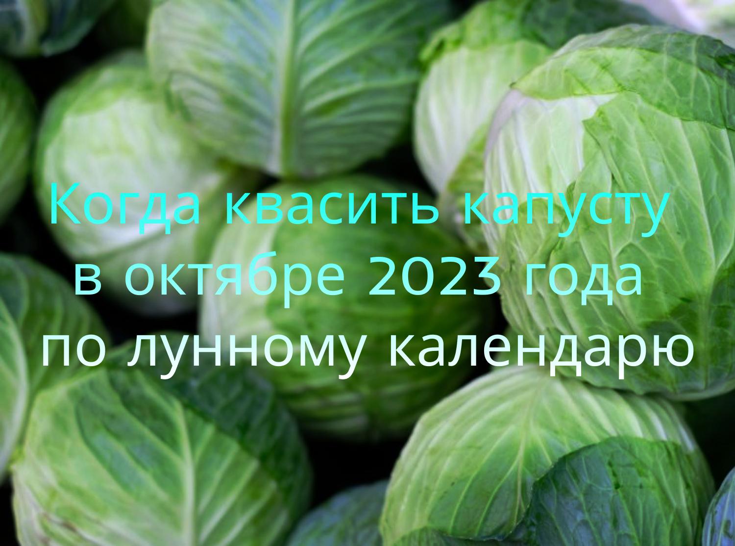 Quando fermentar o repolho em outubro de 2023 de acordo com o calendário lunar