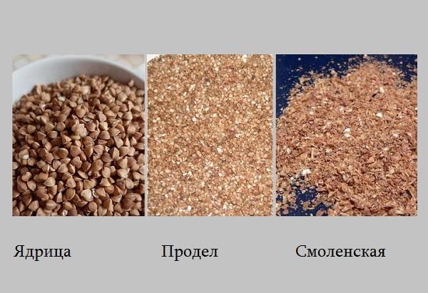 Tipos de trigo sarraceno