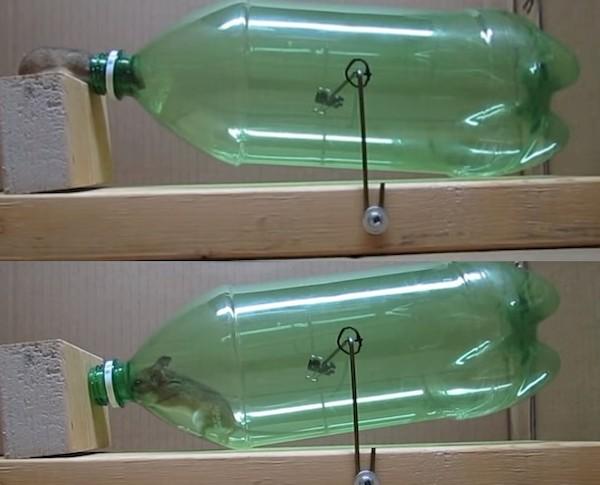 Ratonera de una botella - método 2