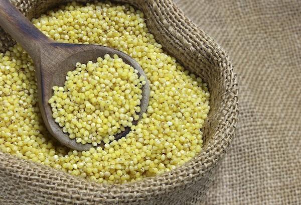 Millet en sachet