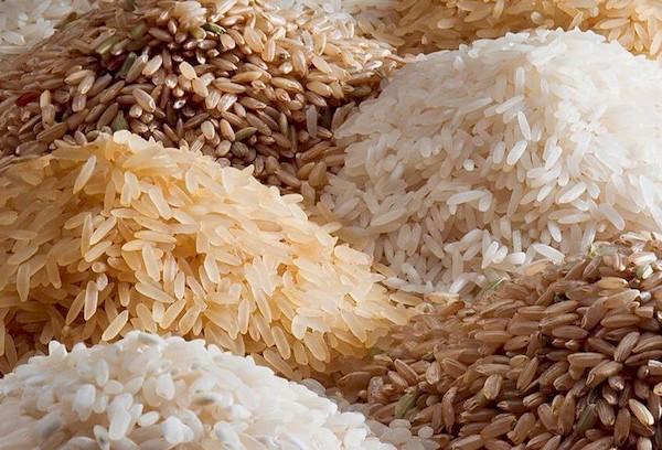 Different varieties of rice