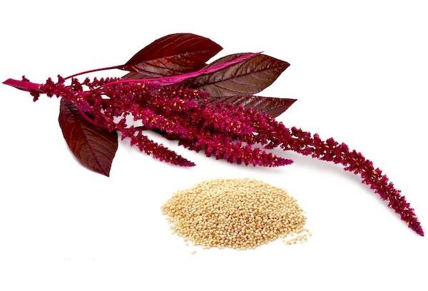 Amaranth groats