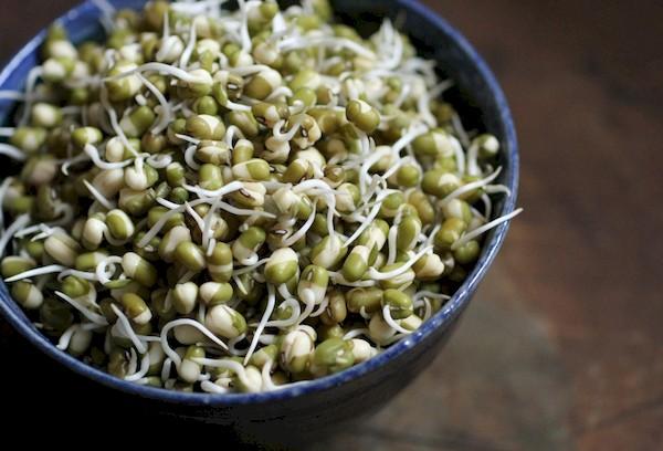 Mung bean sprouts