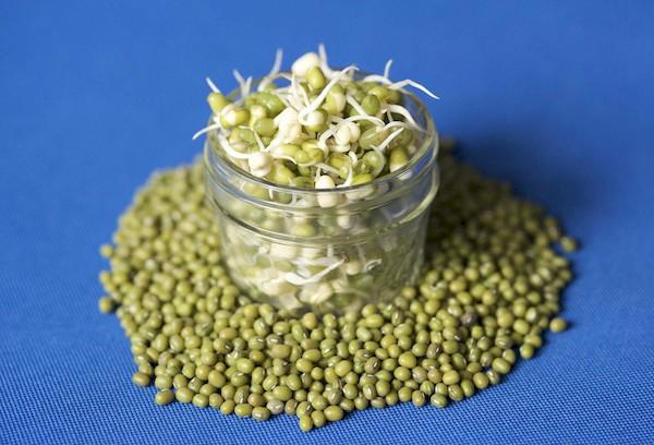 Microgreens mula sa mung bean