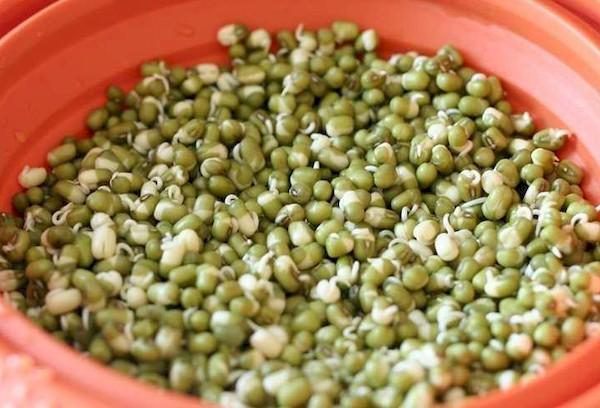 Τι είναι το mung bean και από τι είναι φτιαγμένο;