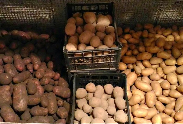 Karbid kartulitega